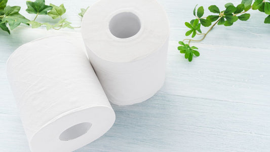 Top 4 Toilet Paper Choices That Are Ultra Soft