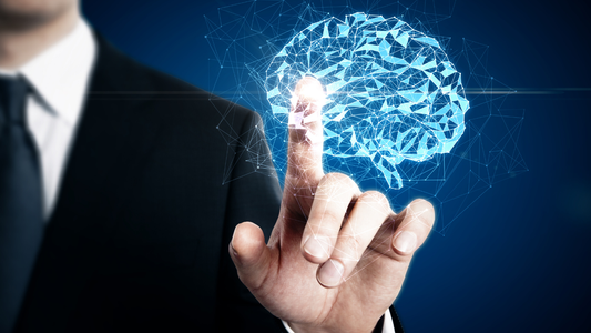 How Wikium Brain Training Works: Science Behind The Platform