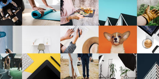 Bark Review: Compare Local Pros Before Hiring