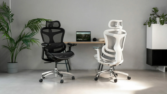 Enhance Workplace Comfort and Productivity with Sihoo Office
