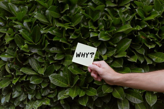 Why Your Lead Forms Get Traffic But No Conversions