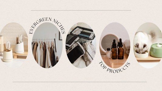 The Top Evergreen Niches for Any Dropship Business